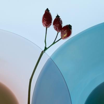 Transparences éphémères - Eglantier 2 carré.jpg